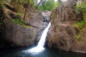 Rainforest Tour – Hidden Waterfall Hike