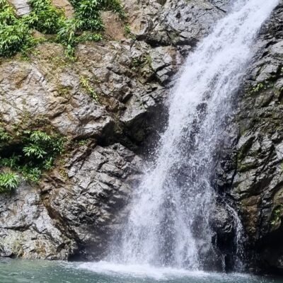 Rainforest Tour - Hidden Waterfall Hike