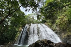 Rainforest Tour – Hidden Waterfall Hike