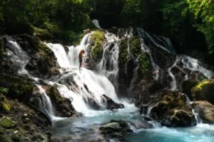 Rainforest Tour – Hidden Waterfall Hike