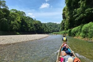 Panama Canal Tour - Wildlife Boat Tour & Walk in the Rainforest
