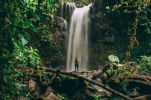 Rainforest Tour – Hidden Waterfall Hike