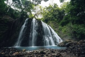 Rainforest Tour – Hidden Waterfall Hike