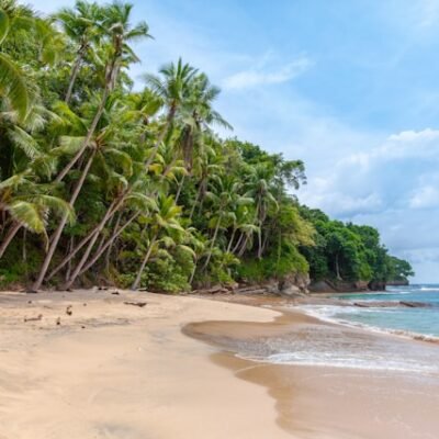 Caribbean Island Experience