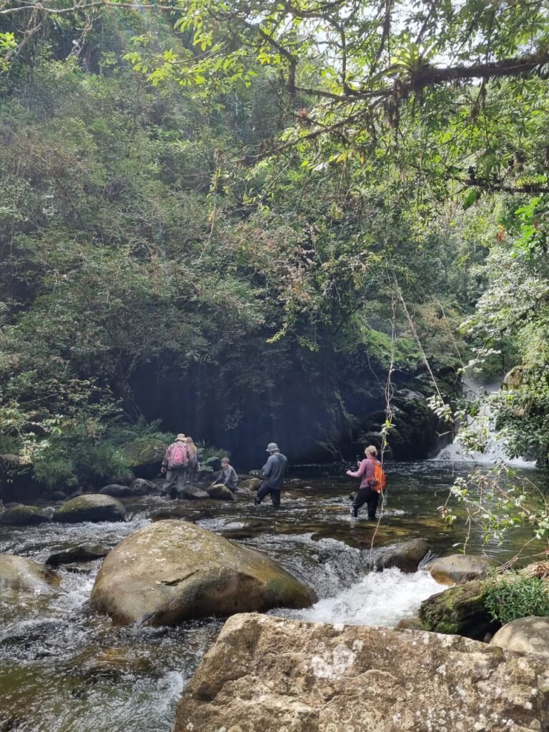 Small group of travelers wading up a boulder-strewn rainforest river toward a waterfall in Panama